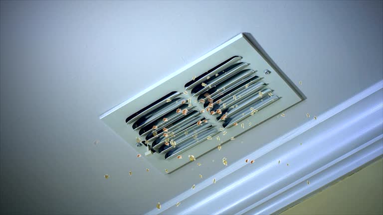 Best Air Duct Cleaning Near Me  in Henagar, AL