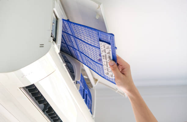 Best Air Duct Mold Removal  in Henagar, AL