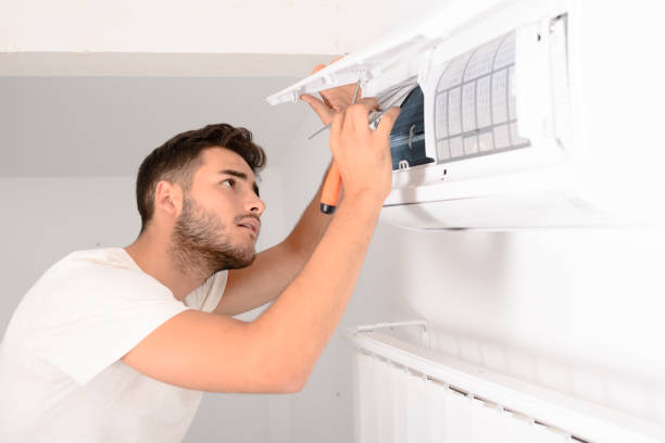 Air Duct Mold Removal in Henagar, AL